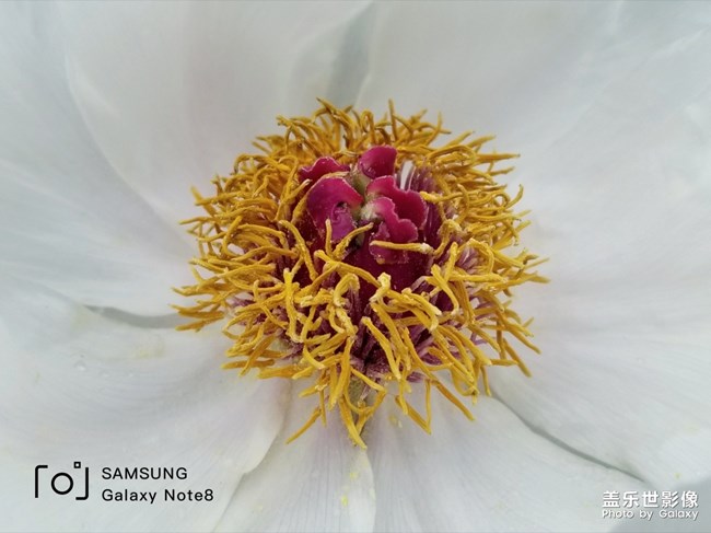 【每周精帖匯144】歡迎三星Galaxy A系列家族四名新成員