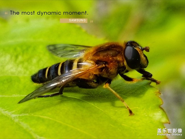 【每周精帖匯144】歡迎三星Galaxy A系列家族四名新成員