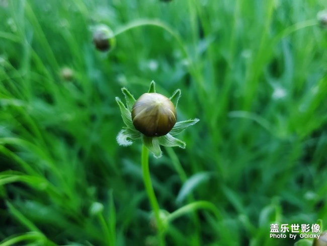 【每周精帖匯147】祝各位媽媽母親節(jié)快樂！