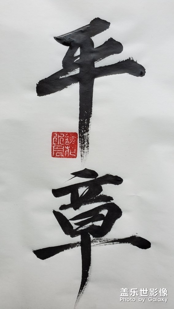 圖集·書法