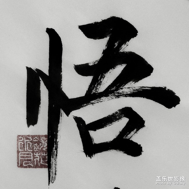 圖集·書法