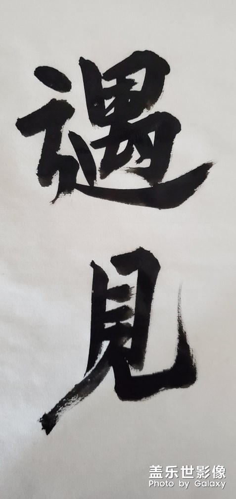 圖集·書法