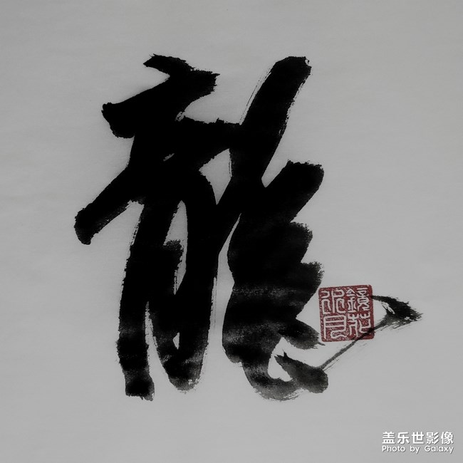 圖集·書法