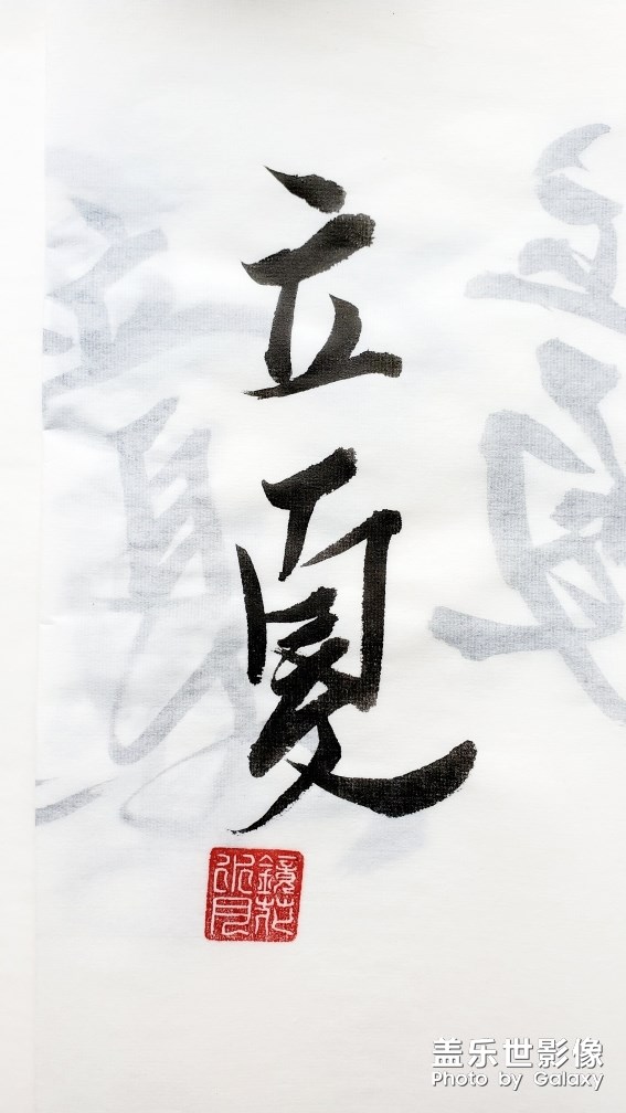圖集·書法