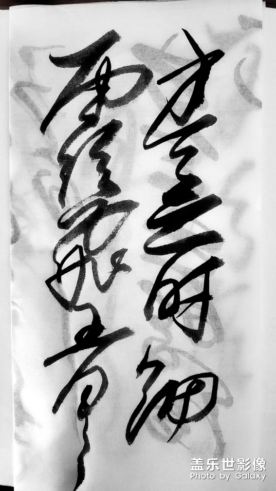 圖集·書法