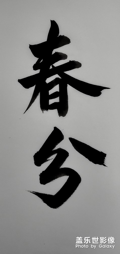 圖集·書法