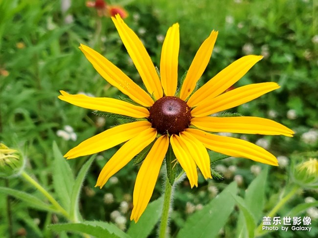【每周精帖匯149-150】還記得童年快樂(lè)的時(shí)光嗎？
