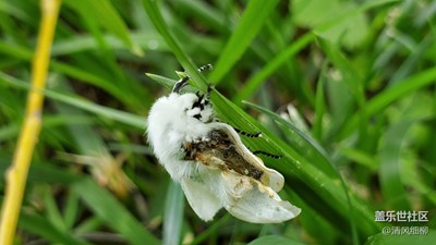 風(fēng)馬牛不相接1