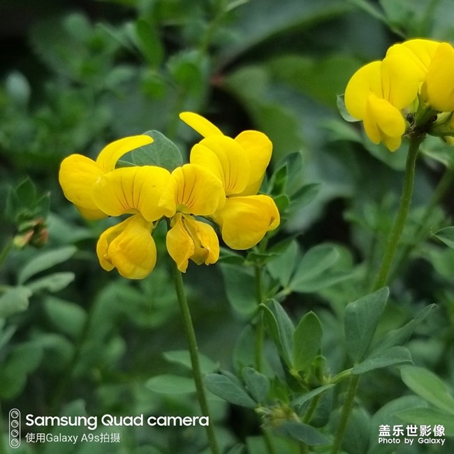 【每周精帖匯151】祝各位爸爸父親節(jié)快樂 身體安康