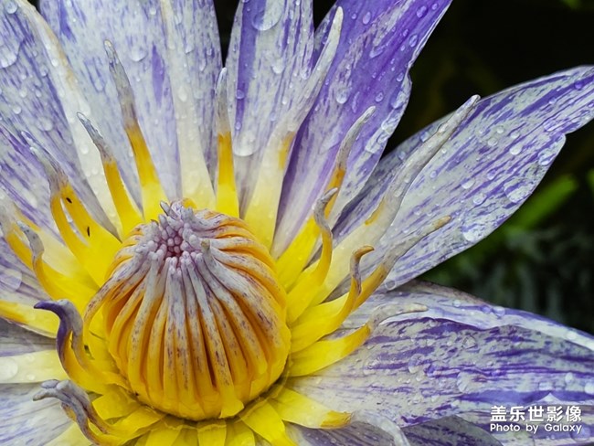 【每周精帖匯151】祝各位爸爸父親節(jié)快樂 身體安康