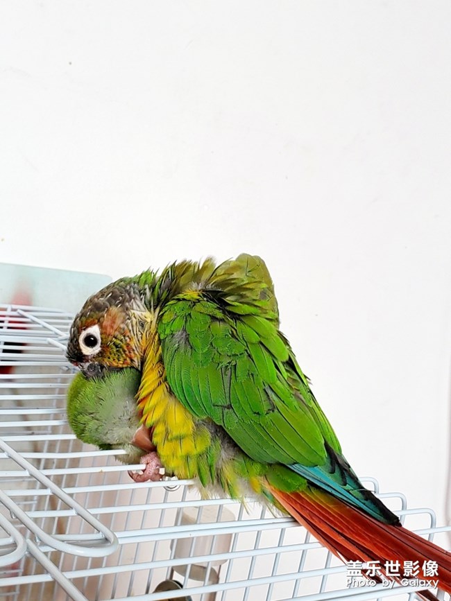 乖乖欺負(fù)貝貝