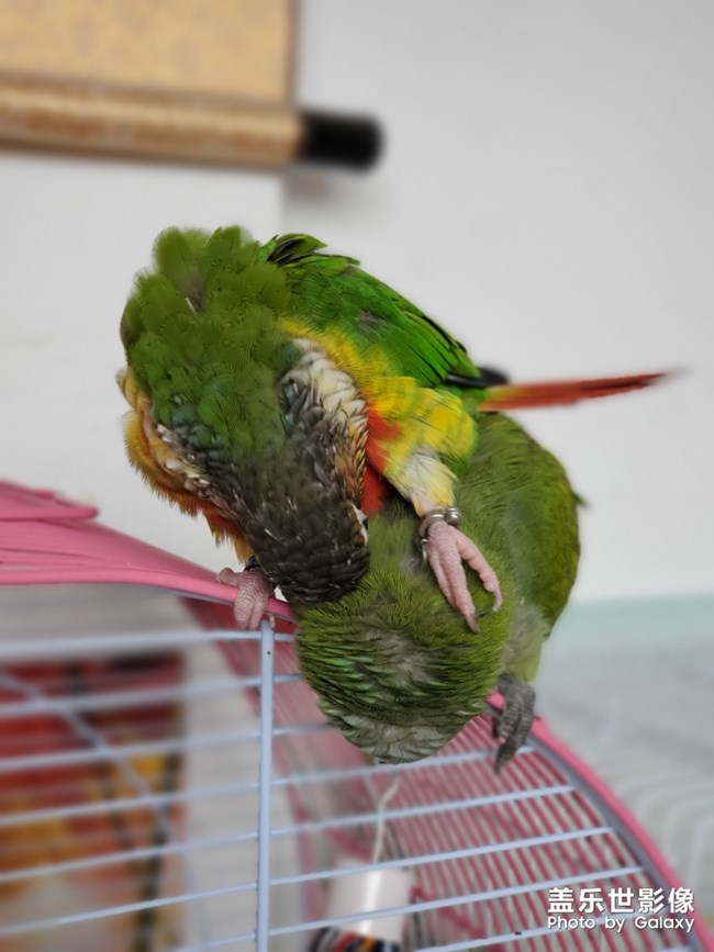 乖乖欺負(fù)貝貝