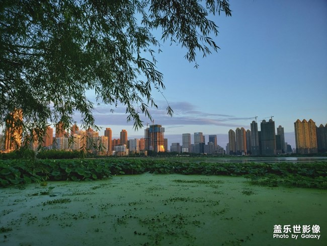 【每周精帖匯155】蓋樂世社區(qū)已經(jīng)4周歲啦！