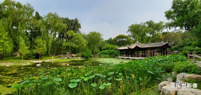 【回首尋美之路】+風(fēng)荷夏日陶然亭