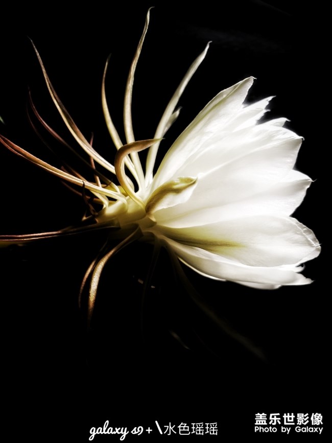 【每周精帖匯160】Galaxy Note10系列閃亮登場(chǎng)