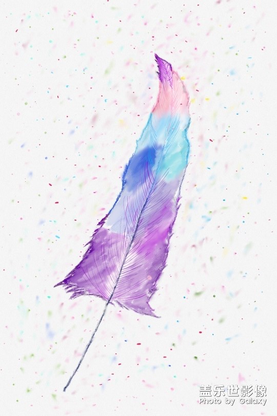 七夕快樂(lè)。