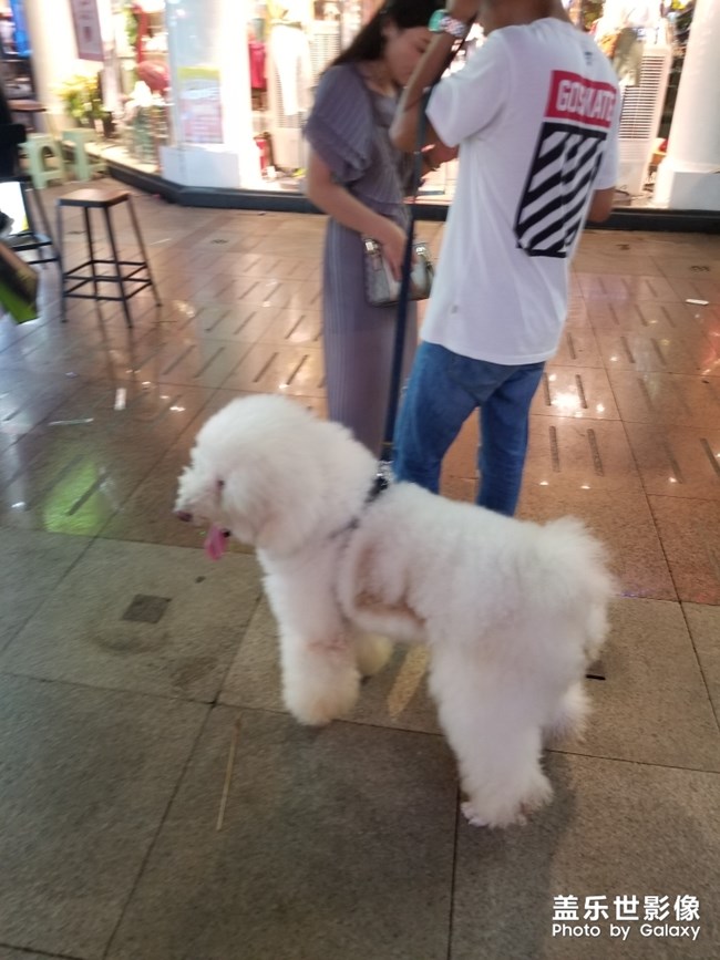 山間美味，花錢不一定吃的到。