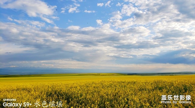 【每周星鮮事04】三星Galaxy Note10系列正式首銷