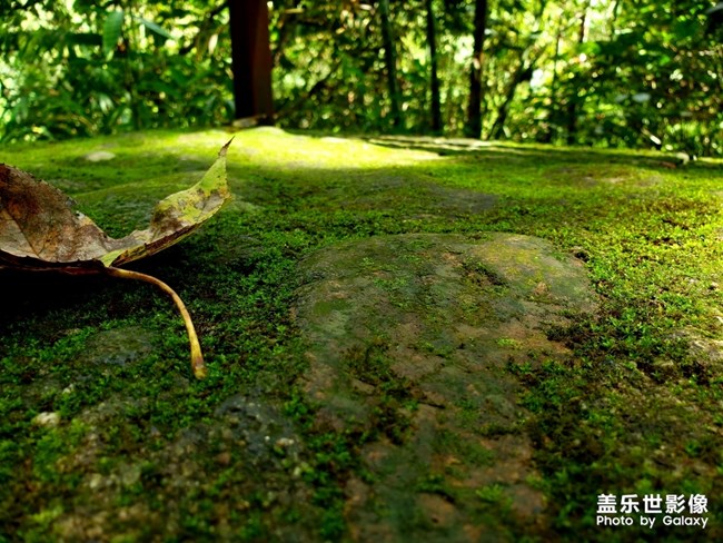 【每周星鮮事04】三星Galaxy Note10系列正式首銷