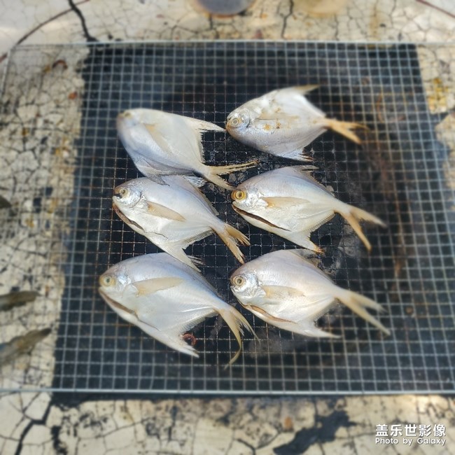 【國慶美食奇遇】+ 花都燒烤