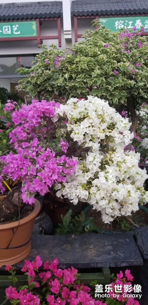 三星S8+死機(jī)了怎么辦？