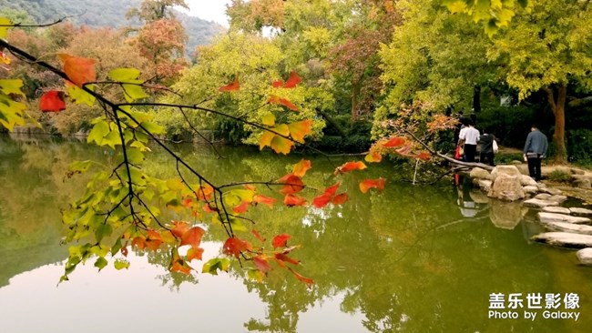 天平山紅楓之旅