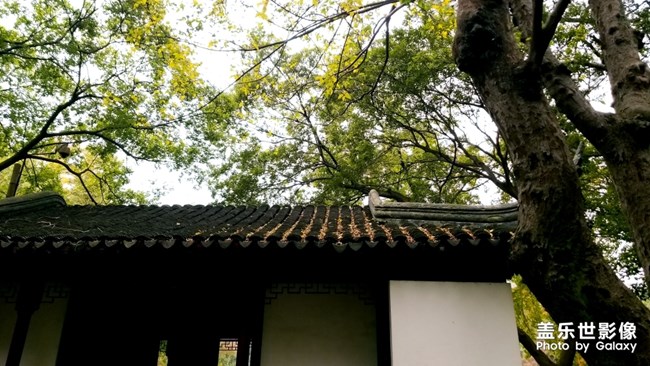 天平山紅楓之旅