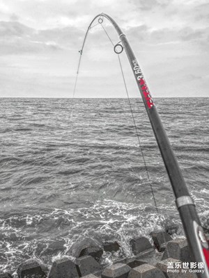 平時(shí)的隨拍，繼續(xù)更新。