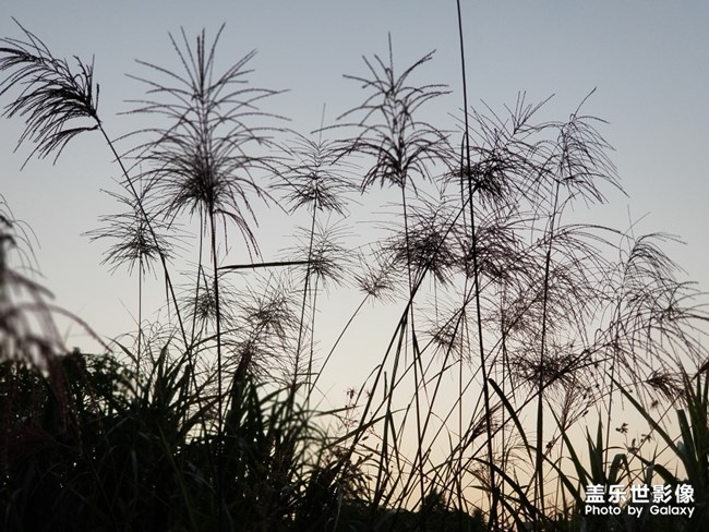 【每周星鮮事】第11期：什么才是你認為的暖胃好食呢？