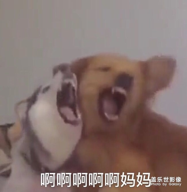 免費(fèi)使用三星主題 私我 給教程