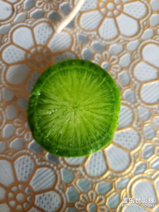 濰縣蘿卜