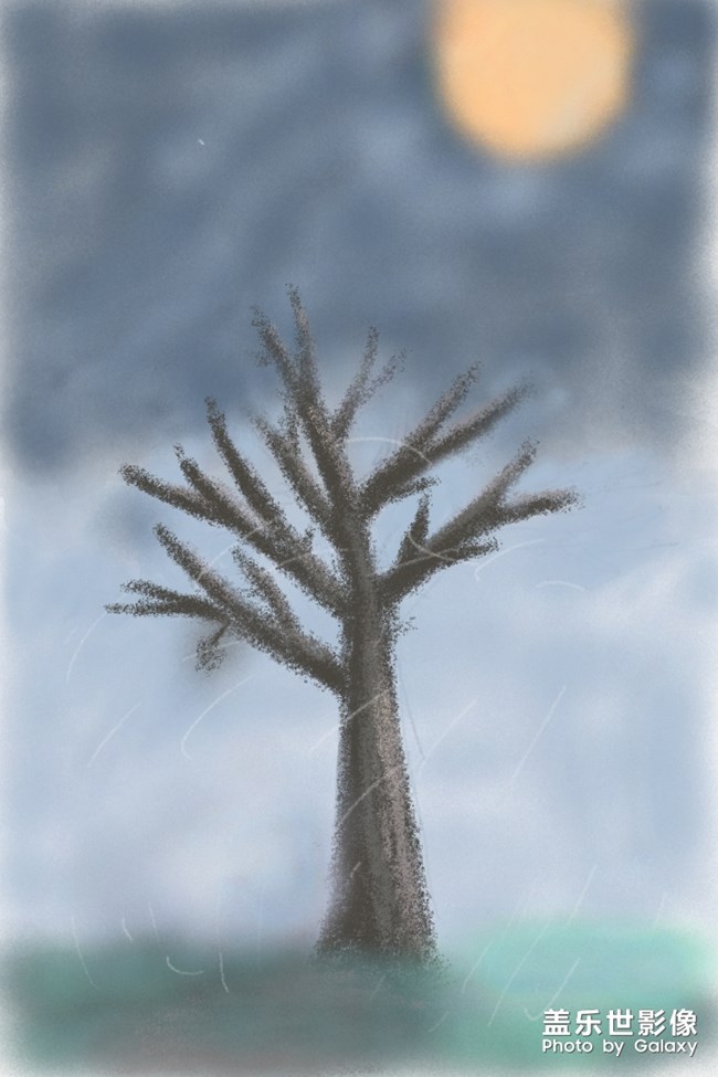 擁有spen的樂趣！