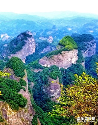 [你好2020]+遙知不是春