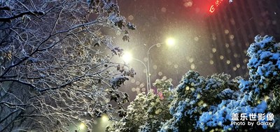 喜歡你傲雪的樣子