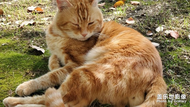 最近宅在家里的狀態(tài)