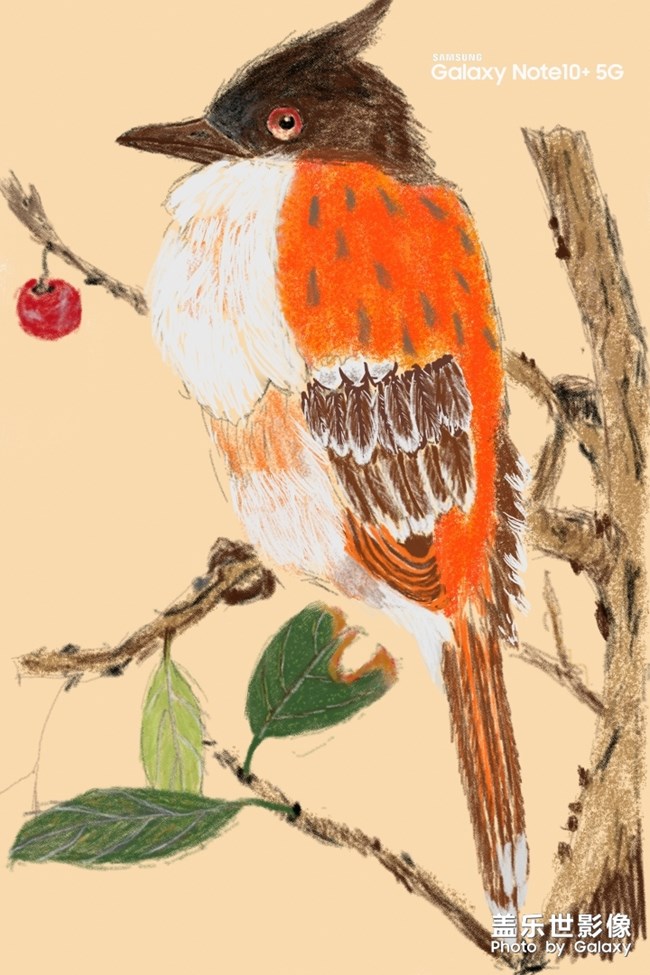 spen消磨時(shí)間~