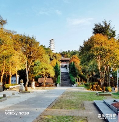 [賞春]+春天的午后