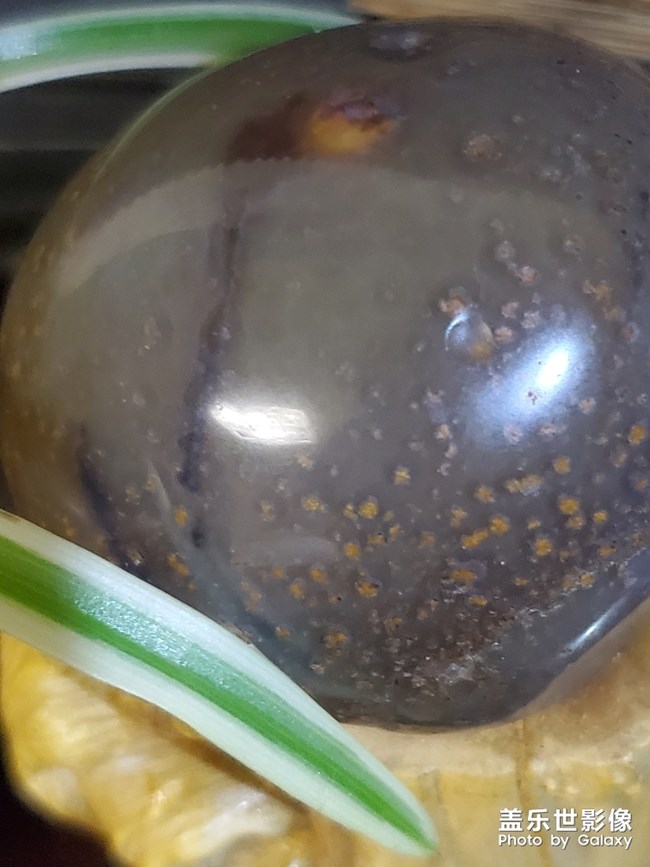 夢蓮？？？？