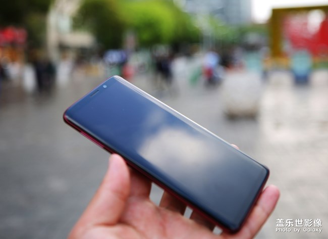 愛不釋手的勃艮第紅