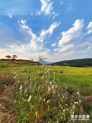 【賞春】一年之計(jì)在于春