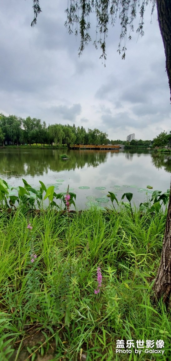 好看不   這車很暴力   不是一般人能駕馭了