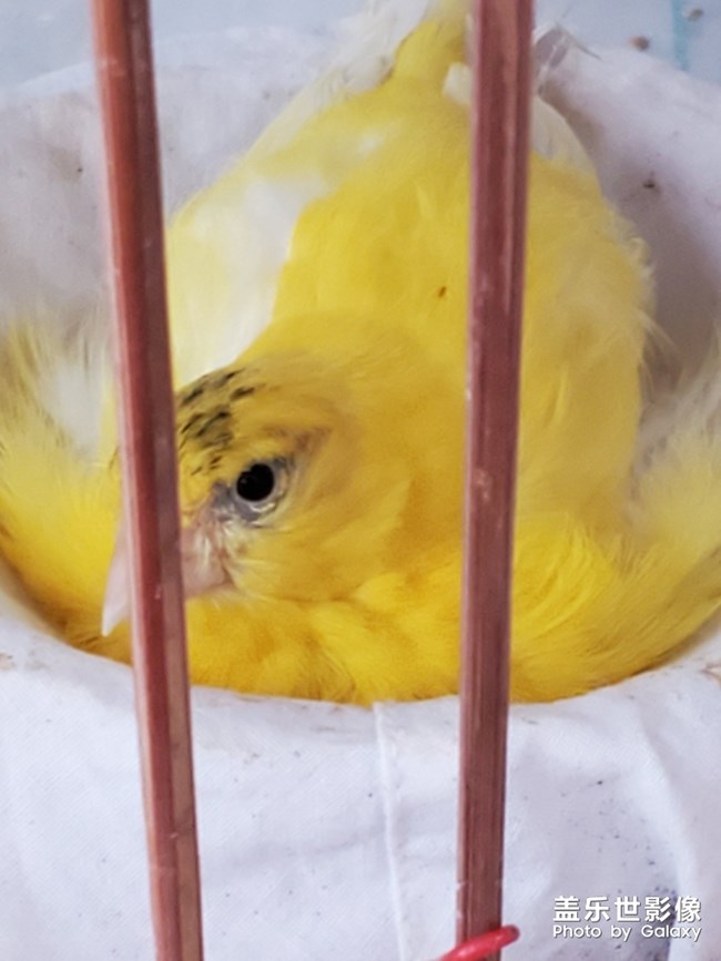 清晨，擁有的驚喜，美好！