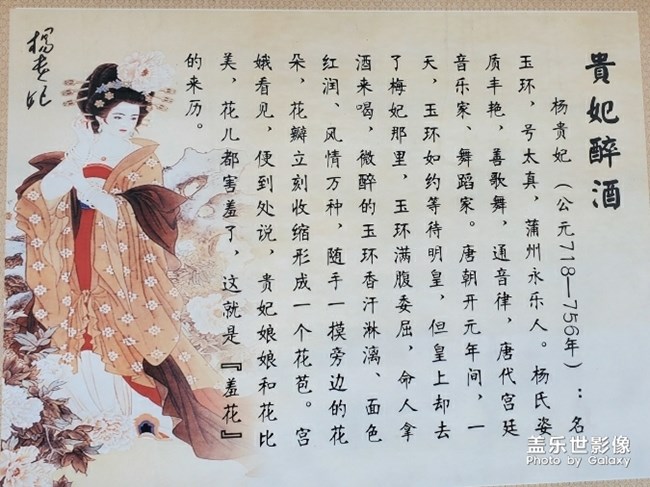 古代四大美女稱謂來由