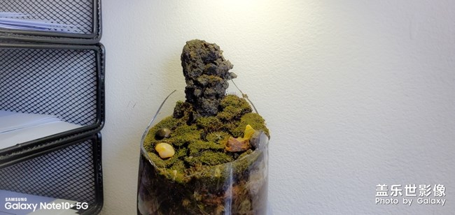 刷牙杯碎了，放個石頭進去還能接著用