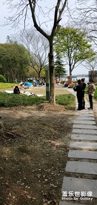 【希望】+公園里的信心