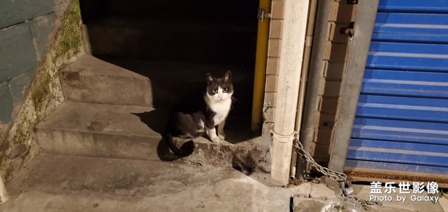 大佬的坐姿和紳士的優(yōu)雅～