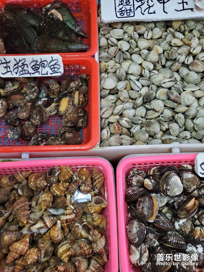 行萬里路，不如來萬頃沙