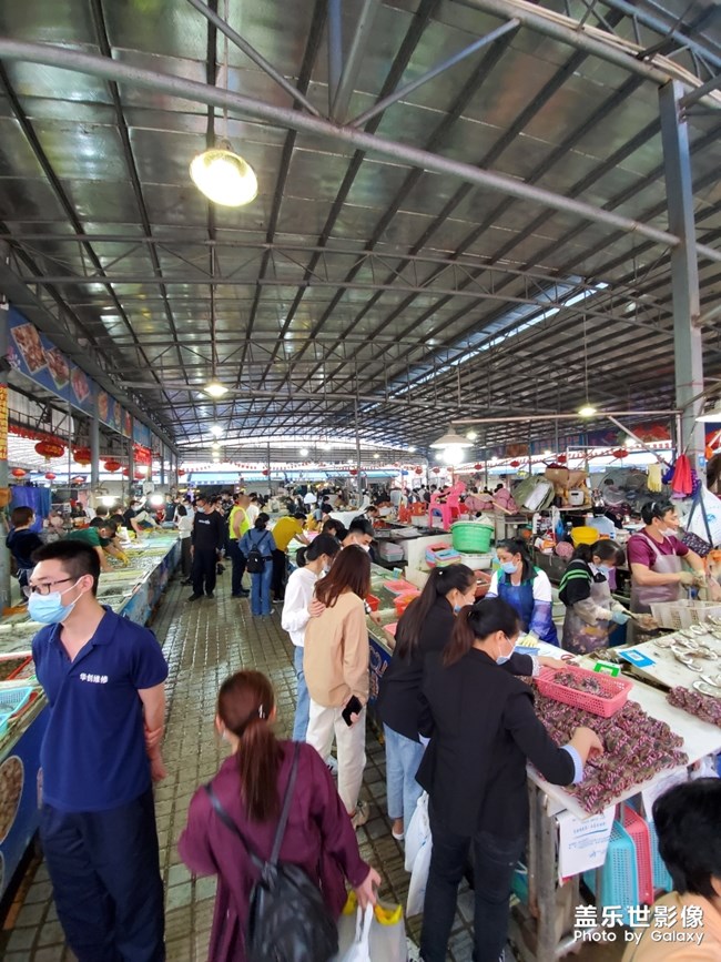 行萬里路，不如來萬頃沙