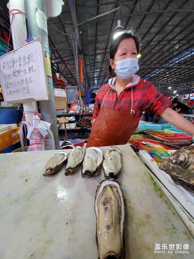 行萬里路，不如來萬頃沙