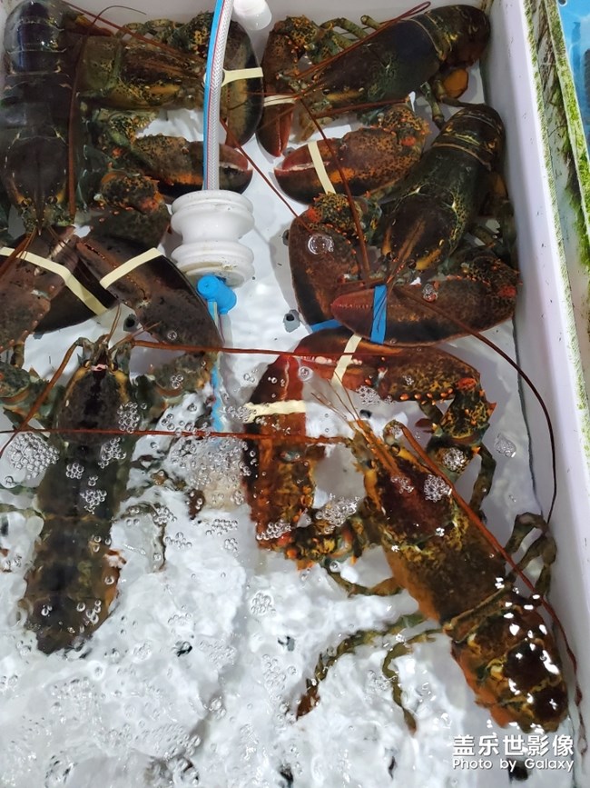 行萬里路，不如來萬頃沙